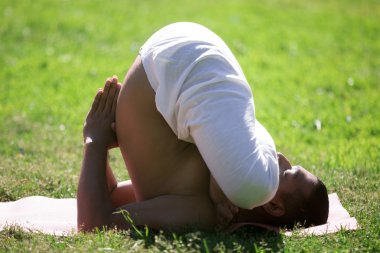 Variation of embryo posture