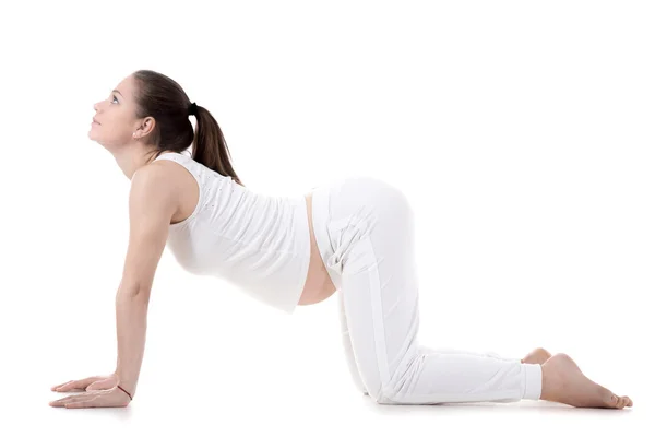 Prenatal Yoga, Cow pose — 图库照片