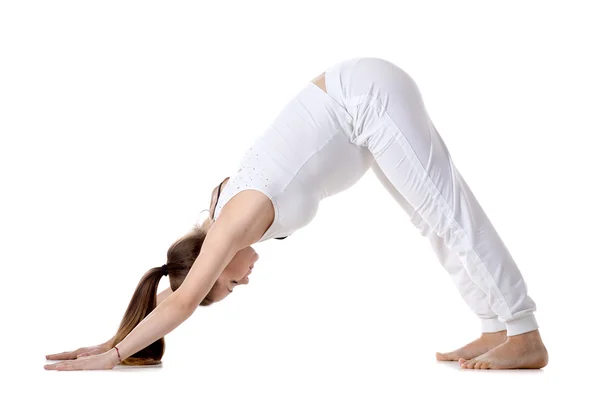 Yoga prenatal, pose de yoga para perros orientada hacia abajo — Foto de Stock