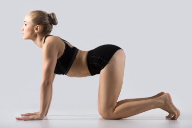 Bitilasana yoga pose