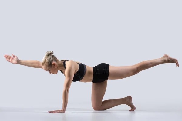 Bird dog Pose, chakravakasana — 图库照片