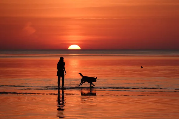 活気のある日没の間に海に走っている若い女性と彼女の犬のシルエット — ストック写真