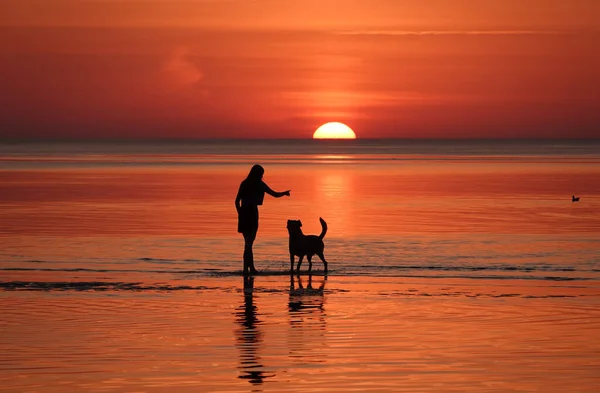 Silhuetas Jovem Mulher Treinando Seu Cão Mar Pôr Sol Vibrante — Fotografia de Stock