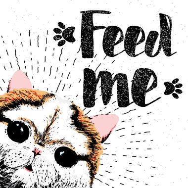 Besle beni, şirin, samimi, gülümseyen kedi el çekilmiş tipografik poster vektör.