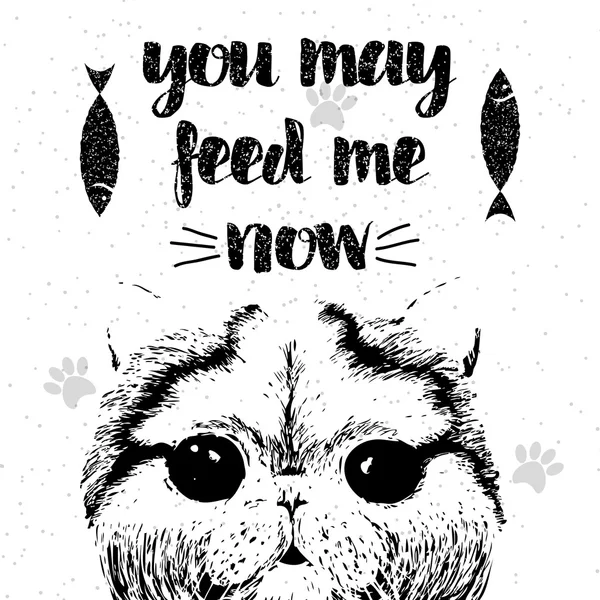 You may feed me now, hand drawn card and lettering calligraphy motivational quote for cat lovers — Stock Vector