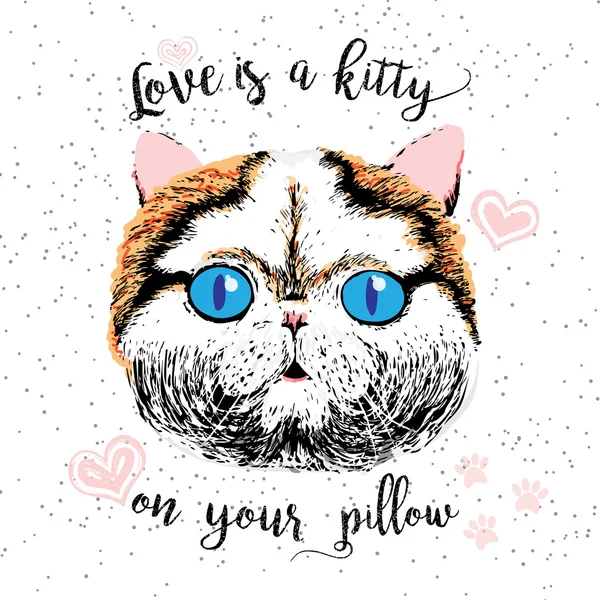 Love is a kitty on your pillow, love quote about pets. Vector outstanding lettering. — Stock Vector