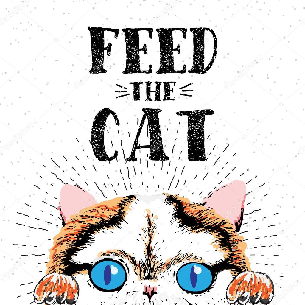 feed my vectors