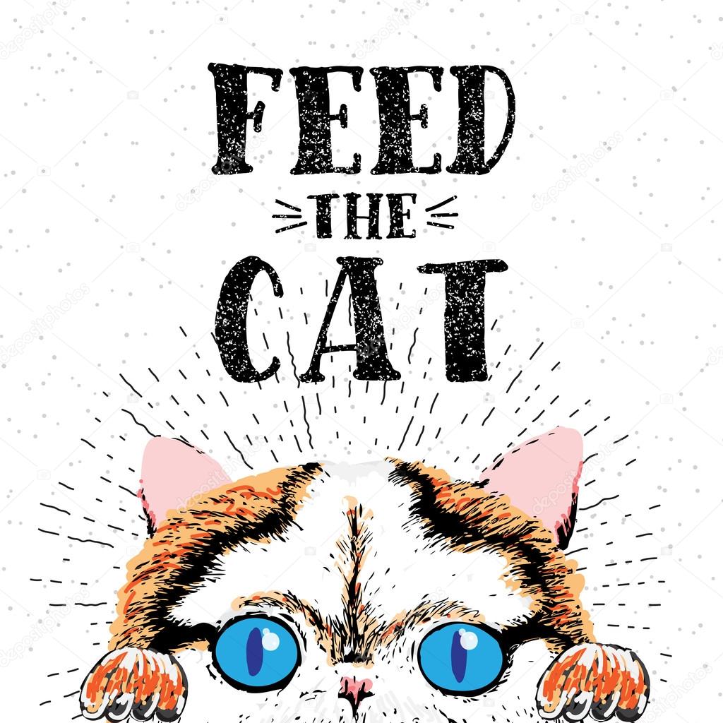 Feed the cat. Vector illustration with hand drawn lettering on texture background.