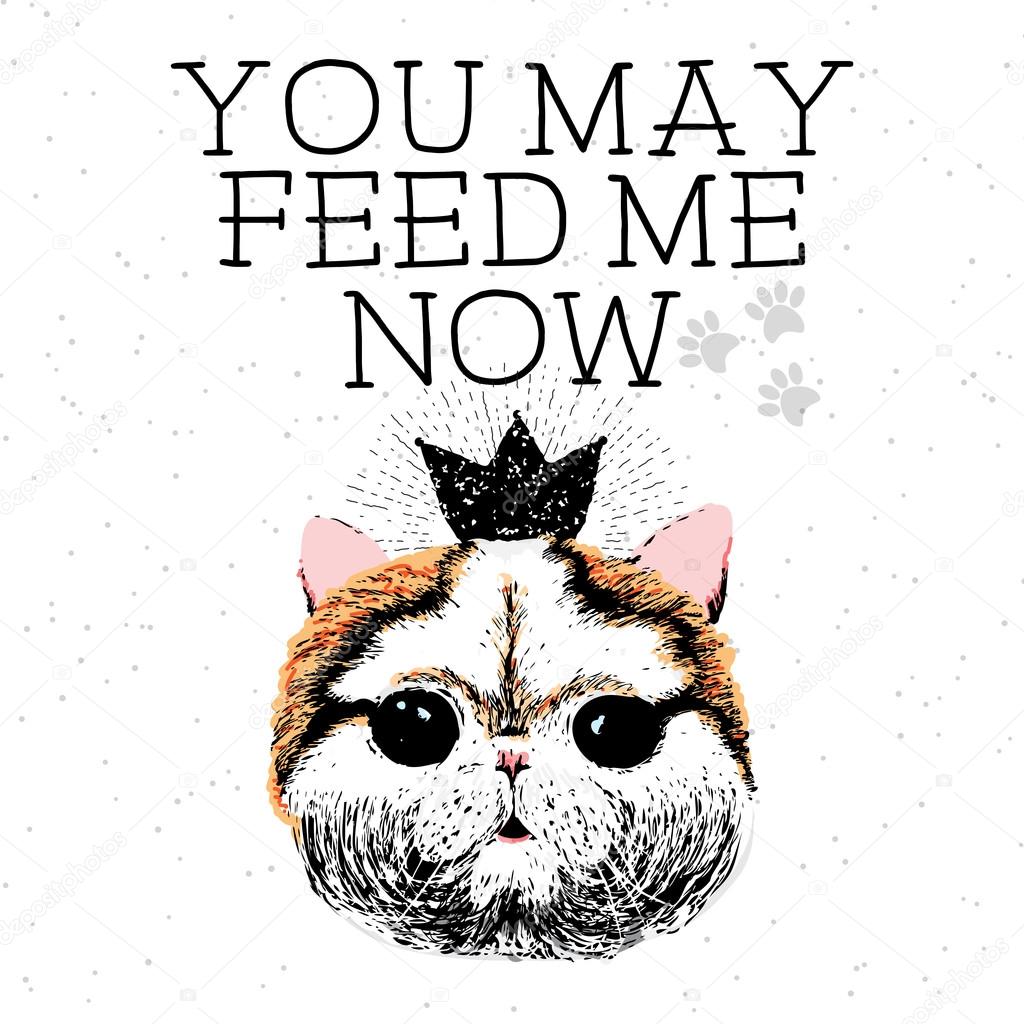 feed me amateurs Feed me amateurs