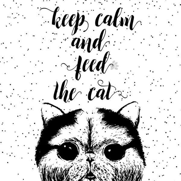 Mantenga la calma y alimentar al gato . — Archivo Imágenes Vectoriales
