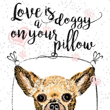 Bir köpek sizin yastık üzerinde aşktır