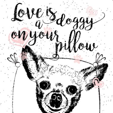 Bir köpek sizin yastık üzerinde aşktır