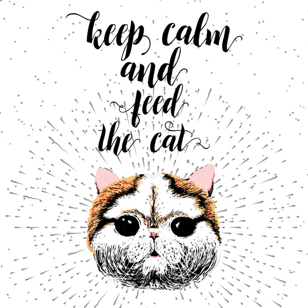 Restez calme et nourrissez le chat . — Image vectorielle