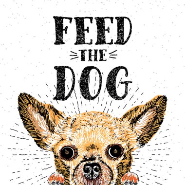 Köpek arka planını besleyin