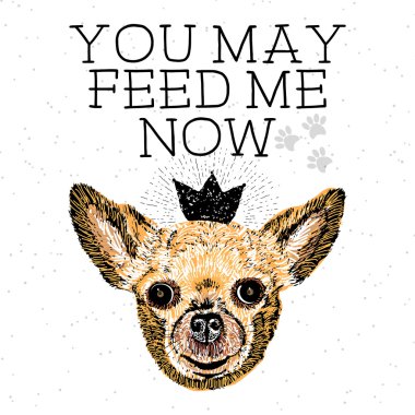 Şimdi beni besleyebilirsin..