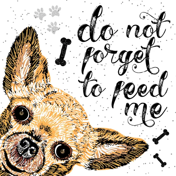 Do not forget to feed me, sign with smiling dog. — Stock Vector