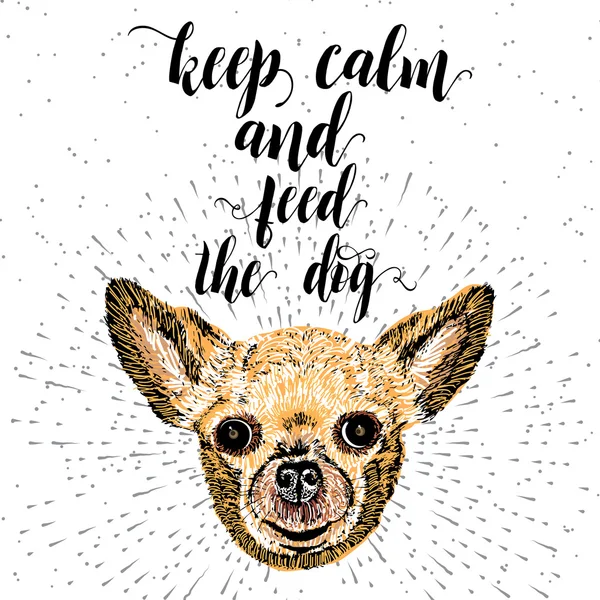 Keep calm and feed the dog. — Stock Vector