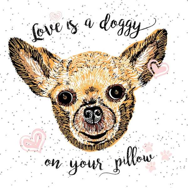Bir köpek sizin yastık üzerinde aşktır 
