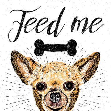  köpek doku arka plan üzerinde.