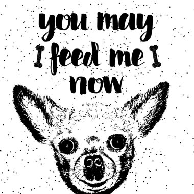 Şimdi beni besleyebilirsin.. 