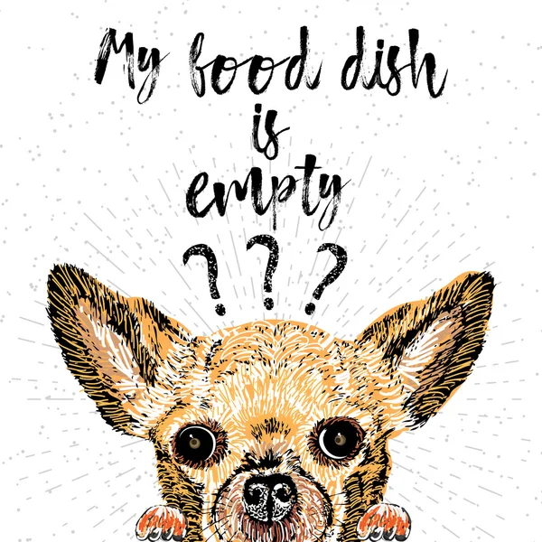 My food dish is empty. — Stock Photo, Image