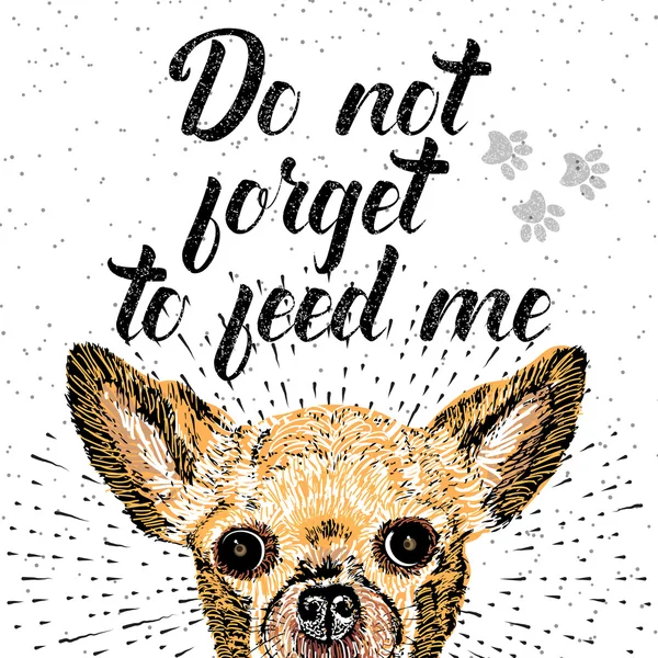 Do not forget to feed me — Stock Photo, Image