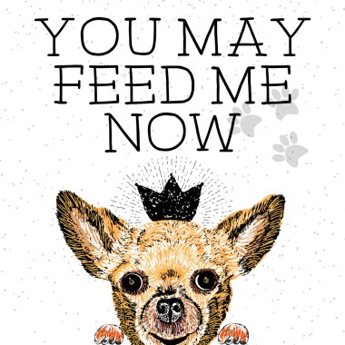 Şimdi beni besleyebilirsin..  