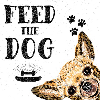  el çizilmiş yazı ve köpek