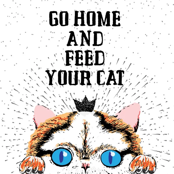 Иди домой и покорми своего кота. . — стоковое фото