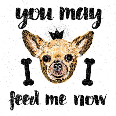 Şimdi beni besleyebilirsin..  