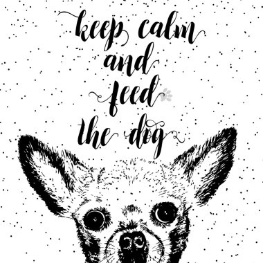 Sakin ol ve köpeği besle..  