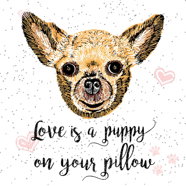 L'amore è un cucciolo sul cuscino — Foto Stock