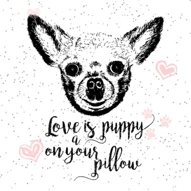 Aşktır, yastık üzerinde bir köpek yavrusu 