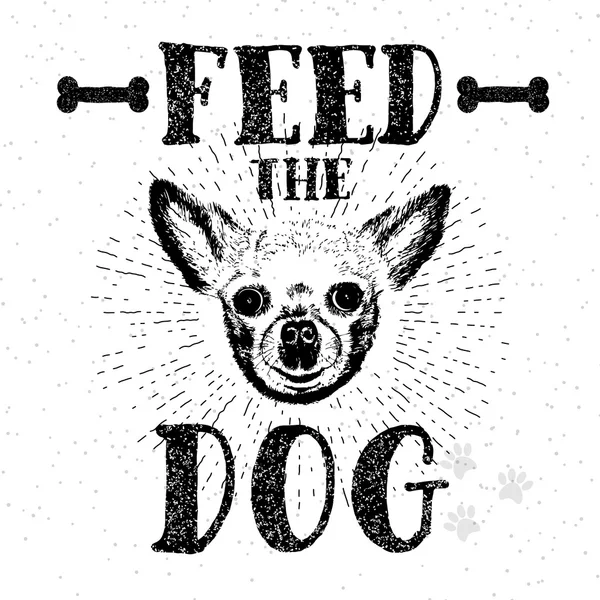 Feed the dog. Illustration