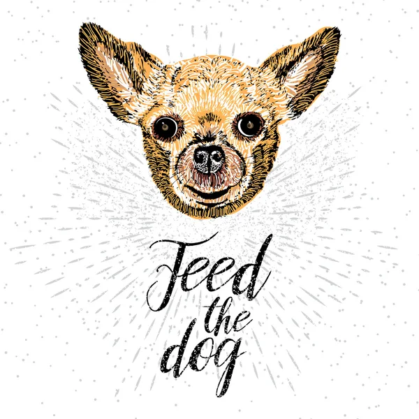 Köpeği besle. Illüstrasyon 