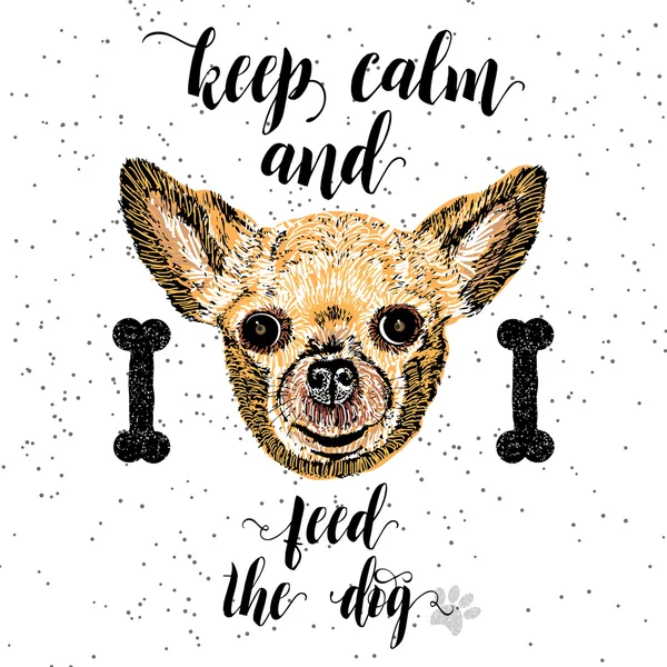 Sakin ol ve köpeği besle.. 