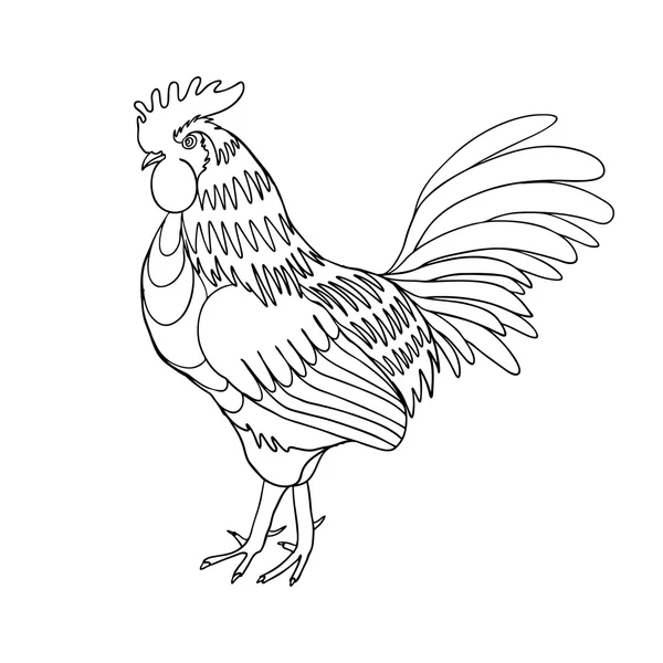 Image of a hand drawing cock or rooster — Stok Vektör