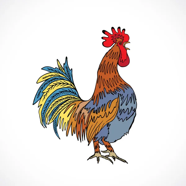 Mano dibujo polla en blanco — Archivo Imágenes Vectoriales