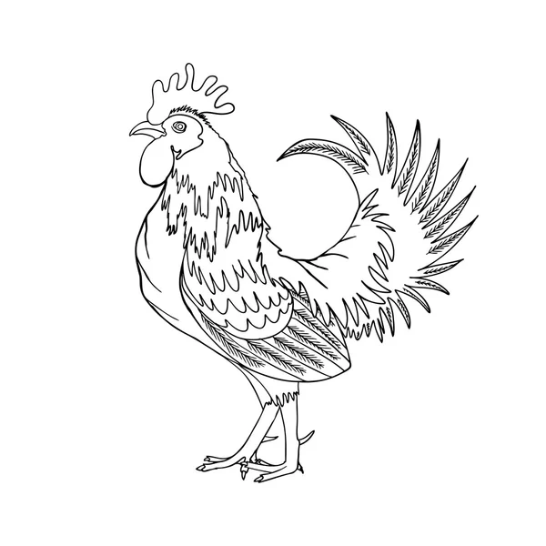 Hand drawing cock or rooster — Stock Photo, Image