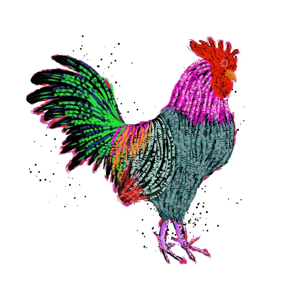 Pittura a gallo a colori — Vettoriale Stock