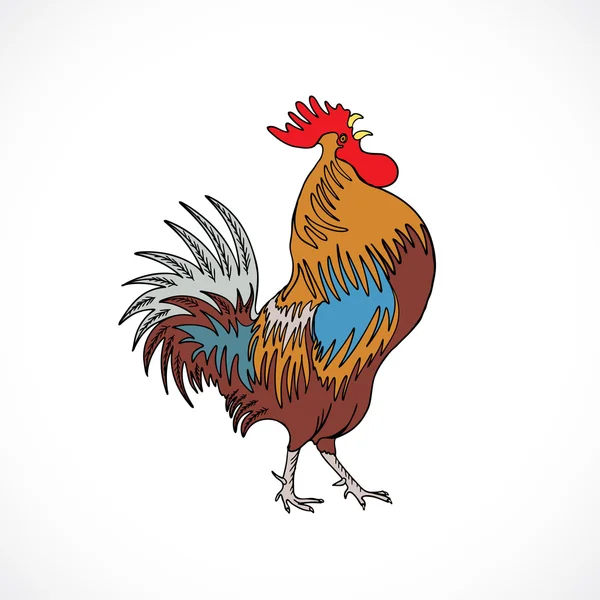 Gallo en color, mano dibujo polla en blanco — Vector de stock