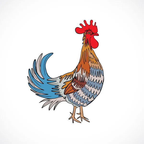 Gallo a colori, mano disegno cazzo — Foto Stock