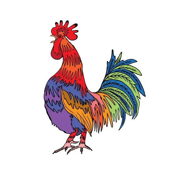 Rooster in color, hand drawing cock — Stock Vector