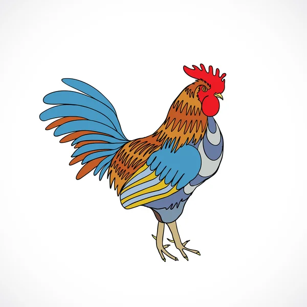 Gallo en color, mano dibujo polla — Archivo Imágenes Vectoriales