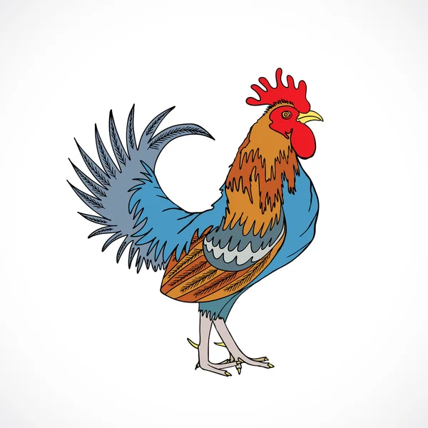 Gallo en color, mano dibujo polla — Archivo Imágenes Vectoriales