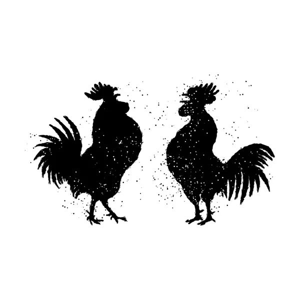 Pair of black roosters — Stock Photo, Image