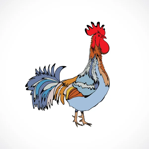 Gallo en color, mano dibujo polla — Foto de Stock