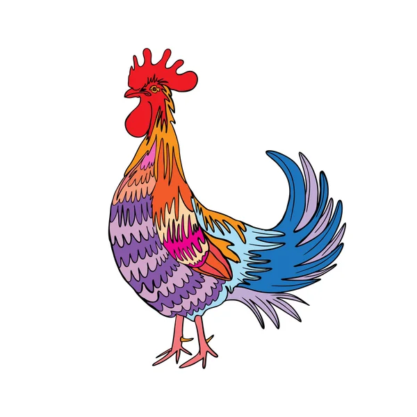 Gallo en color, mano dibujo polla en blanco . — Foto de Stock