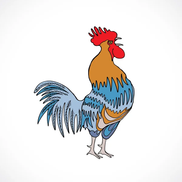 Gallo a colori, mano disegno cazzo — Foto Stock