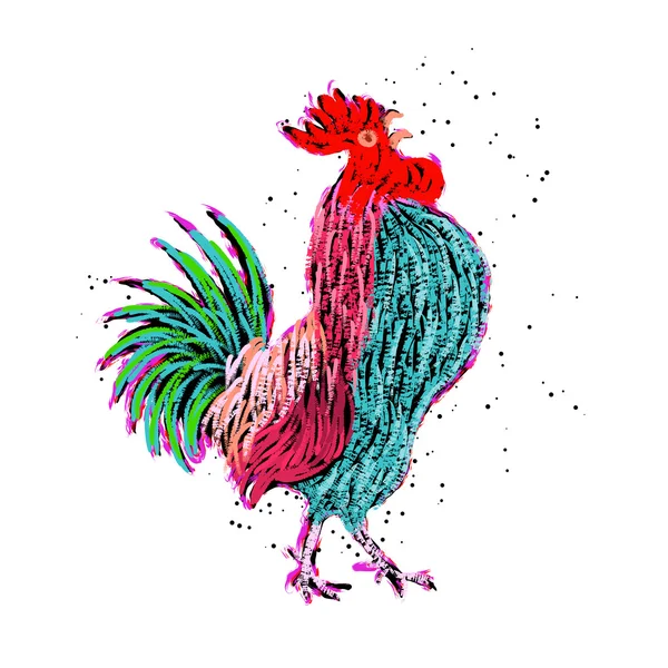 Pittura a gallo a colori — Vettoriale Stock